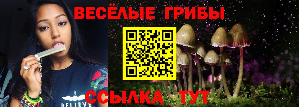 Галлюциногенные грибы GOLDEN TEACHER Хасавюрт