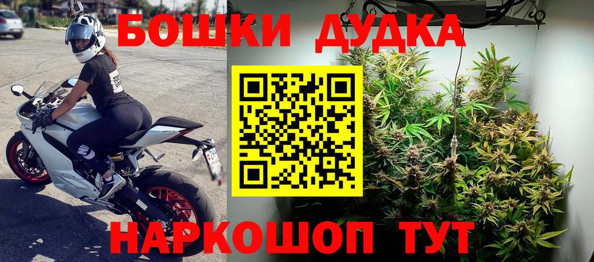 МАРИХУАНА ГИДРОПОН Хасавюрт